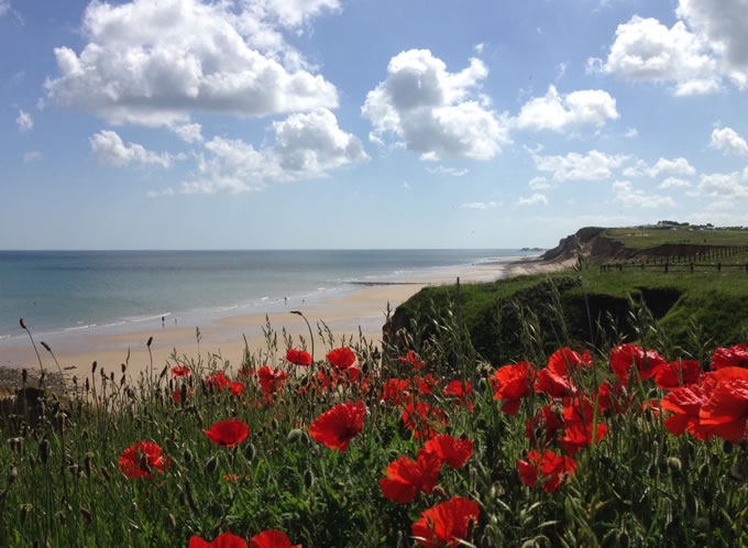 West Runton Poppies